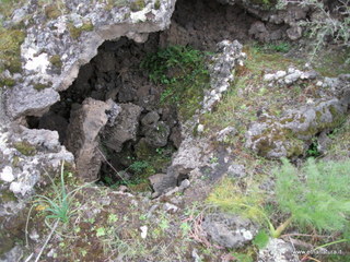 conco di Liricio-24-03-2013 12-58-25